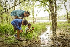 Painted Tree Woodland District 60