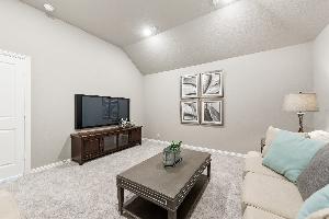 Parks at Panchasarp Farms 65