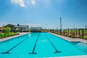 Lily Creek at Sutton Fields