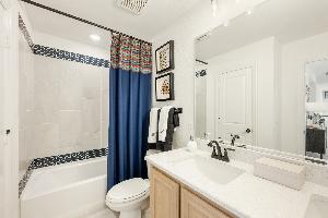 Painted Tree Woodland District 50