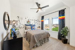 Painted Tree Woodland District 50