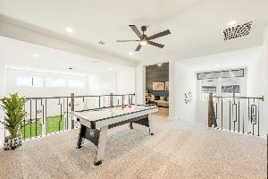 Painted Tree Woodland District 50