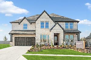 Painted Tree Woodland District 60