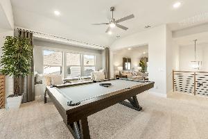 Painted Tree Woodland District 60