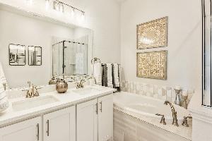 Painted Tree Woodland District 60