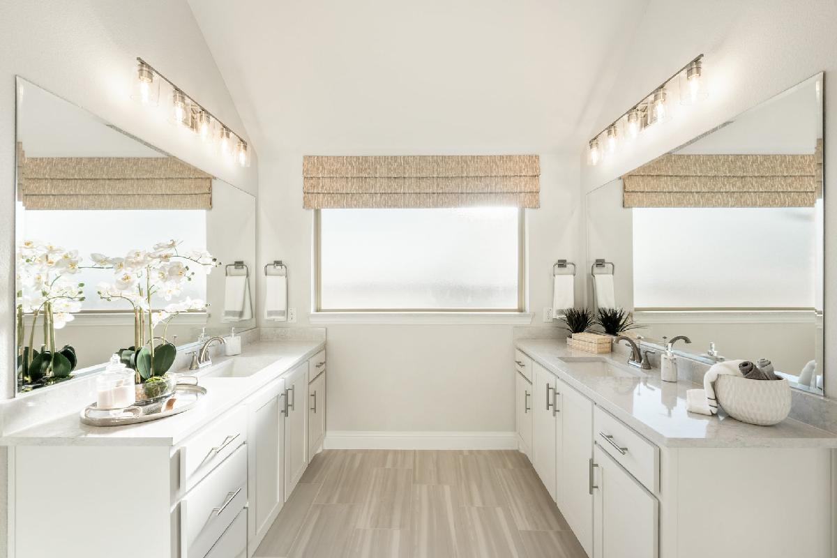 Painted Tree Woodland District 60