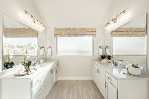 Painted Tree Woodland District 60