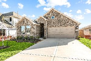 Pinewood at Grand Texas