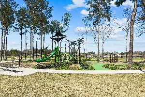 Pinewood at Grand Texas