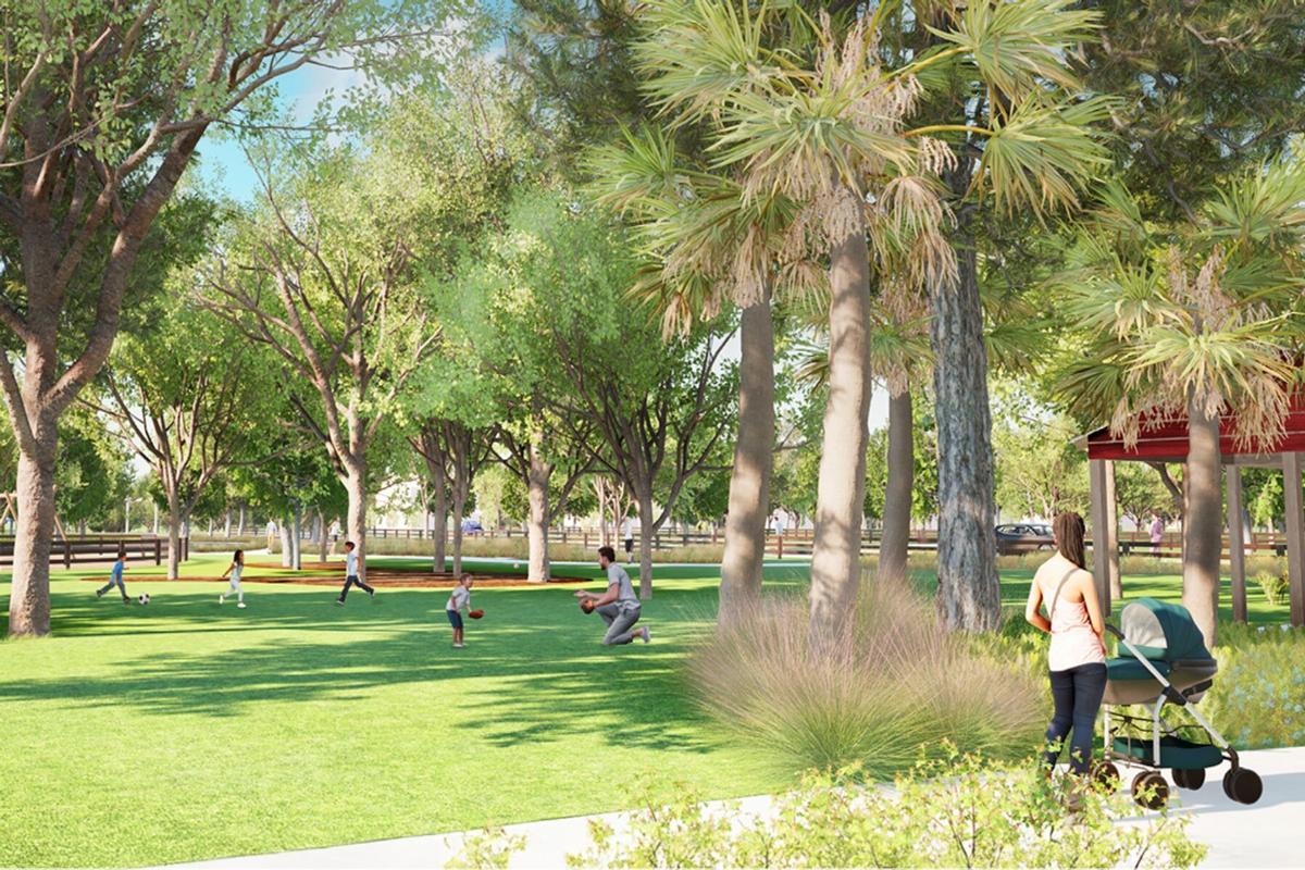 Center Lake on the Park