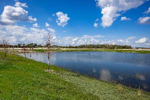 Center Lake on the Park