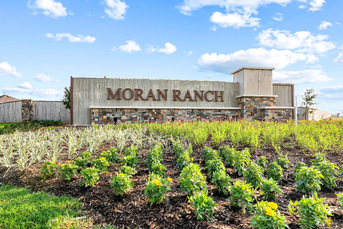 Moran Ranch