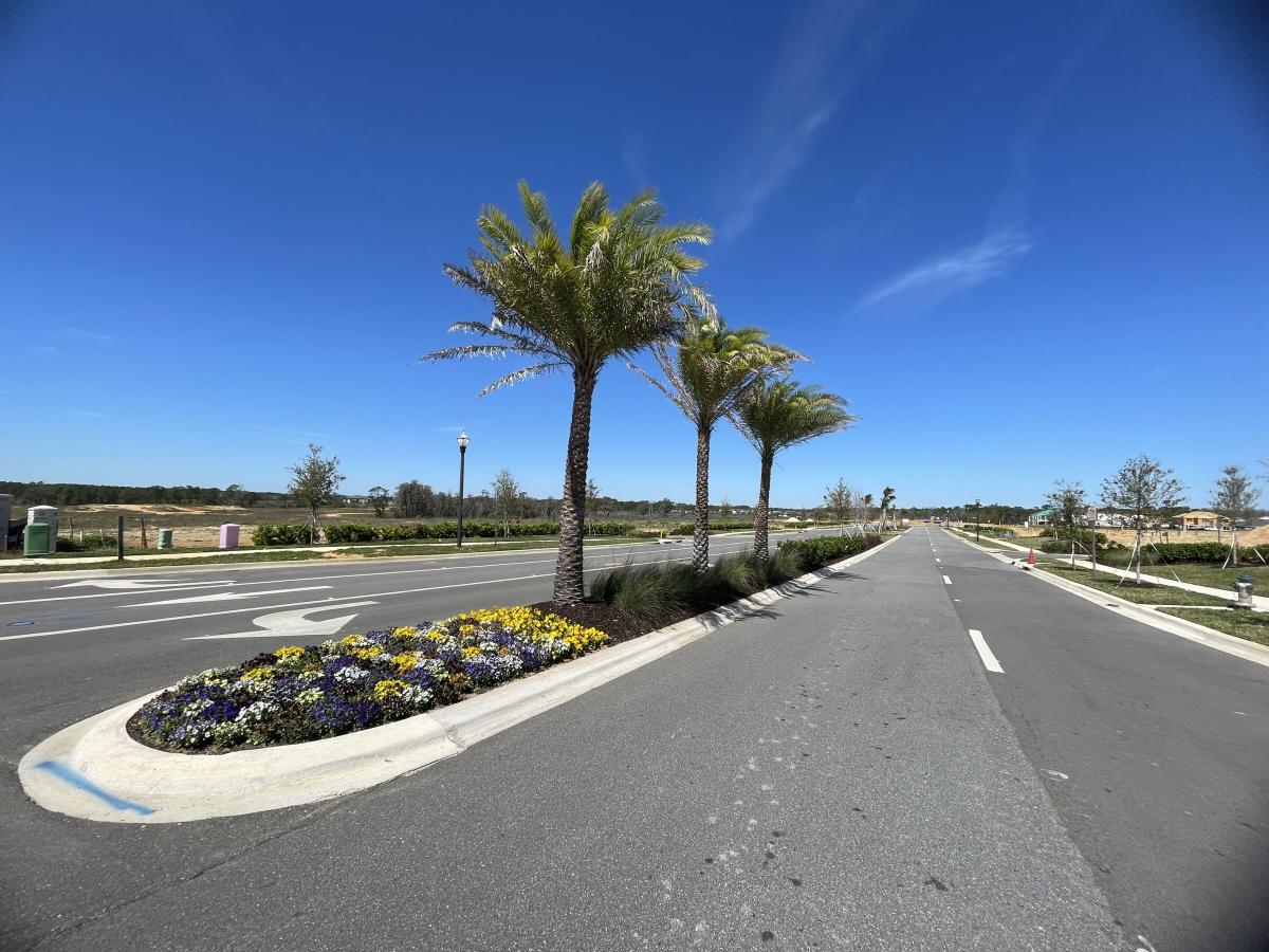 Lake Star at Ovation