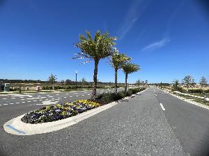 Lake Star at Ovation