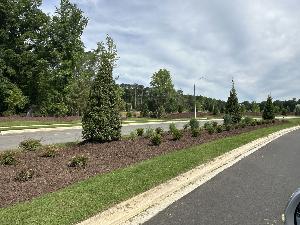 Green Level Trail Townhomes