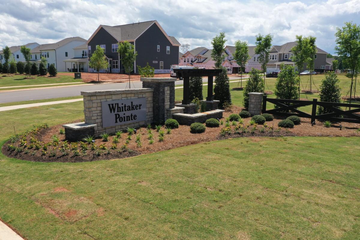 Whitaker Pointe