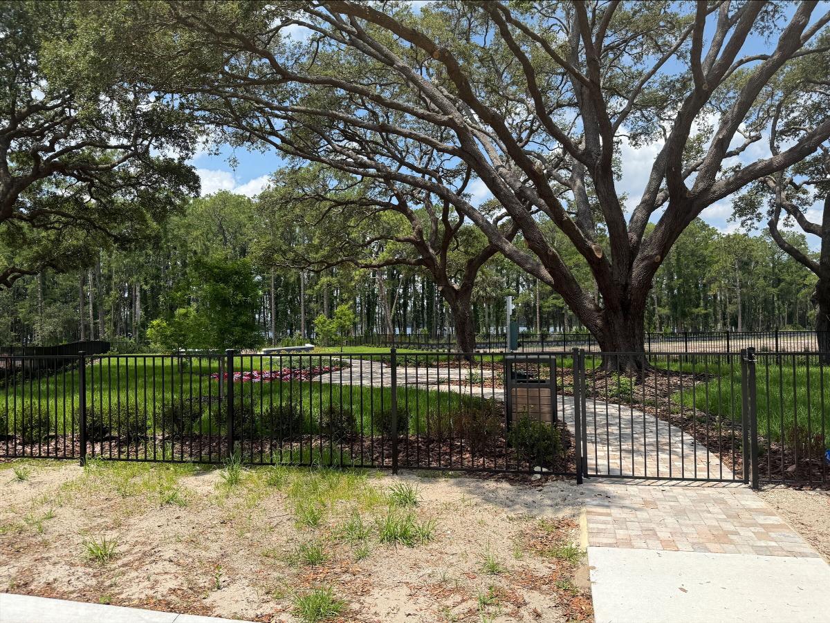 Solace at Corner Lake