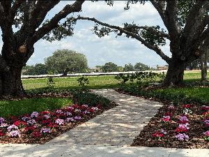 Solace at Corner Lake