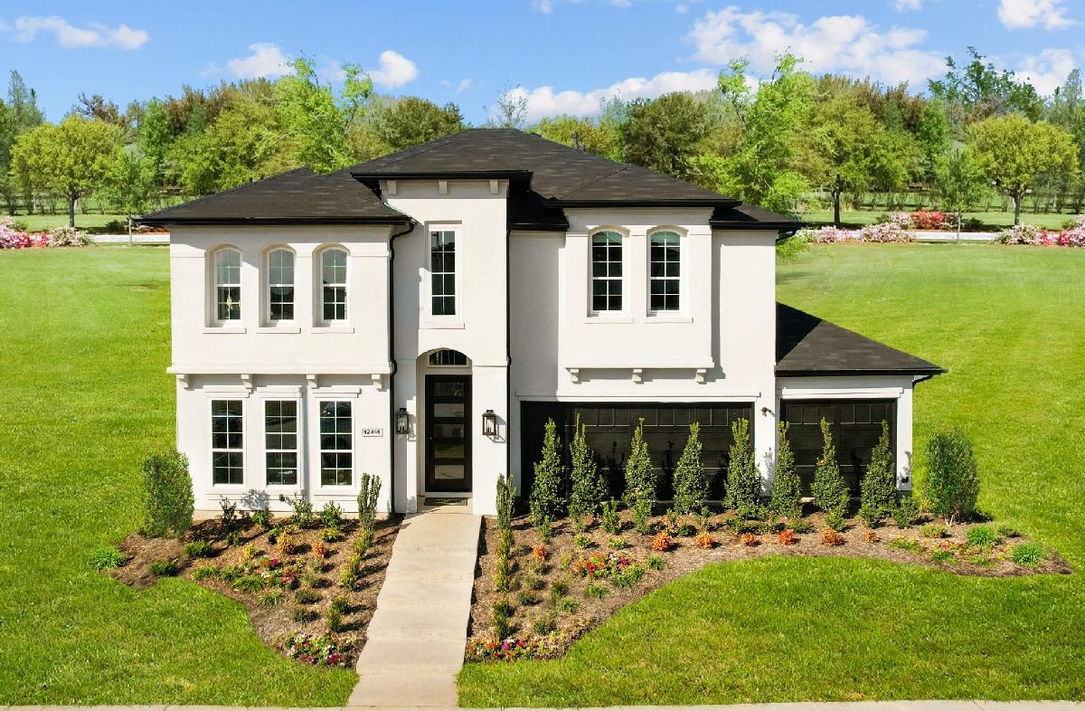 Lexington Frisco Impression 55s