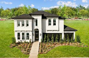 Lexington Frisco Impression 55s