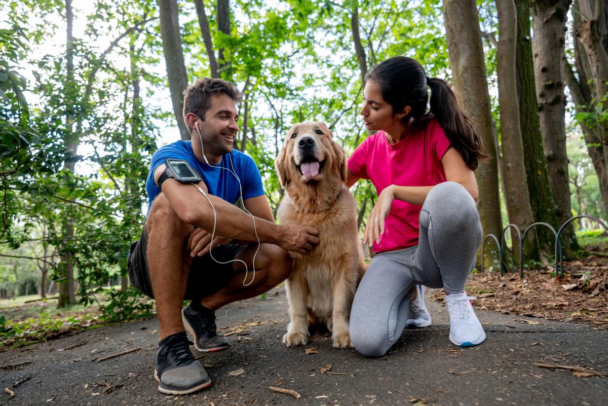 Northwoods of Naperville