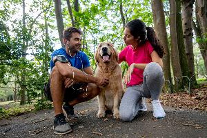 Northwoods of Naperville