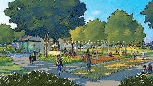 Attwater 65s - Signature