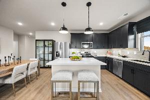 Palmilla Springs 50s Sales Phase 2