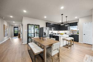 Palmilla Springs 50s Sales Phase 2