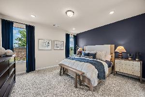 Palmilla Springs 50s Sales Phase 2