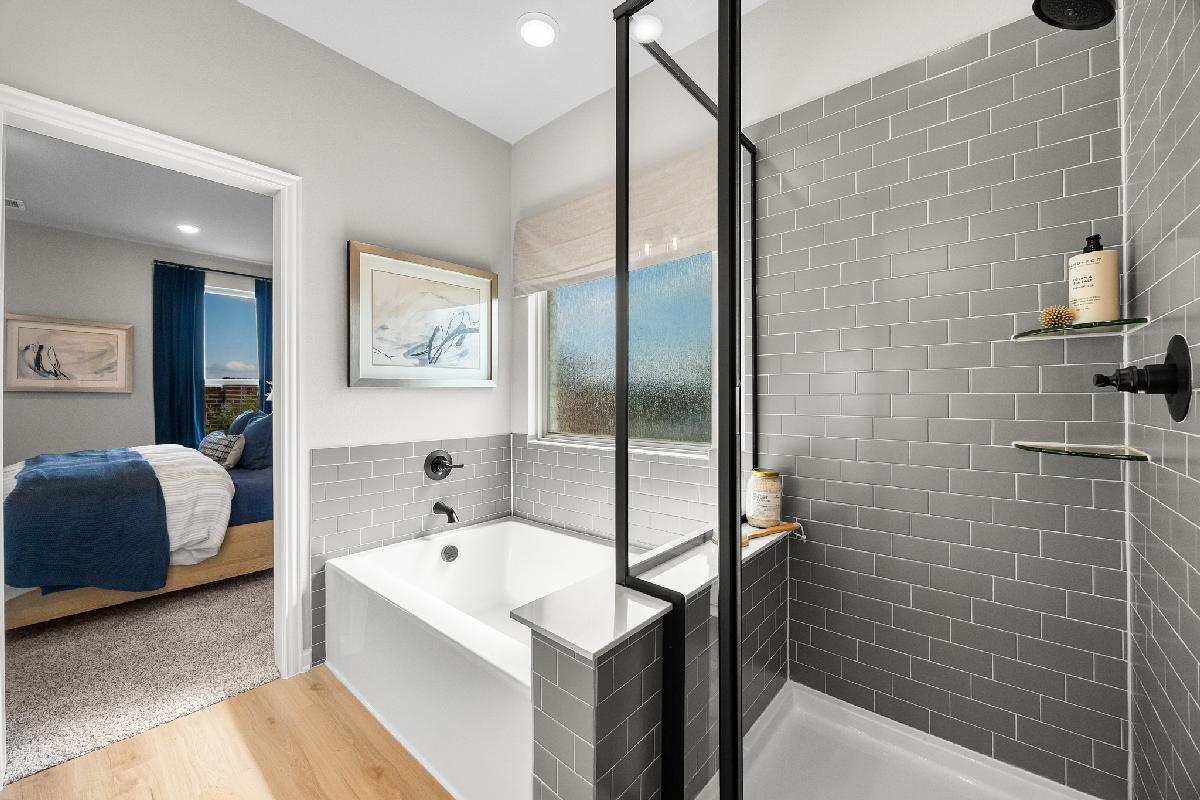 Palmilla Springs 50s Sales Phase 2