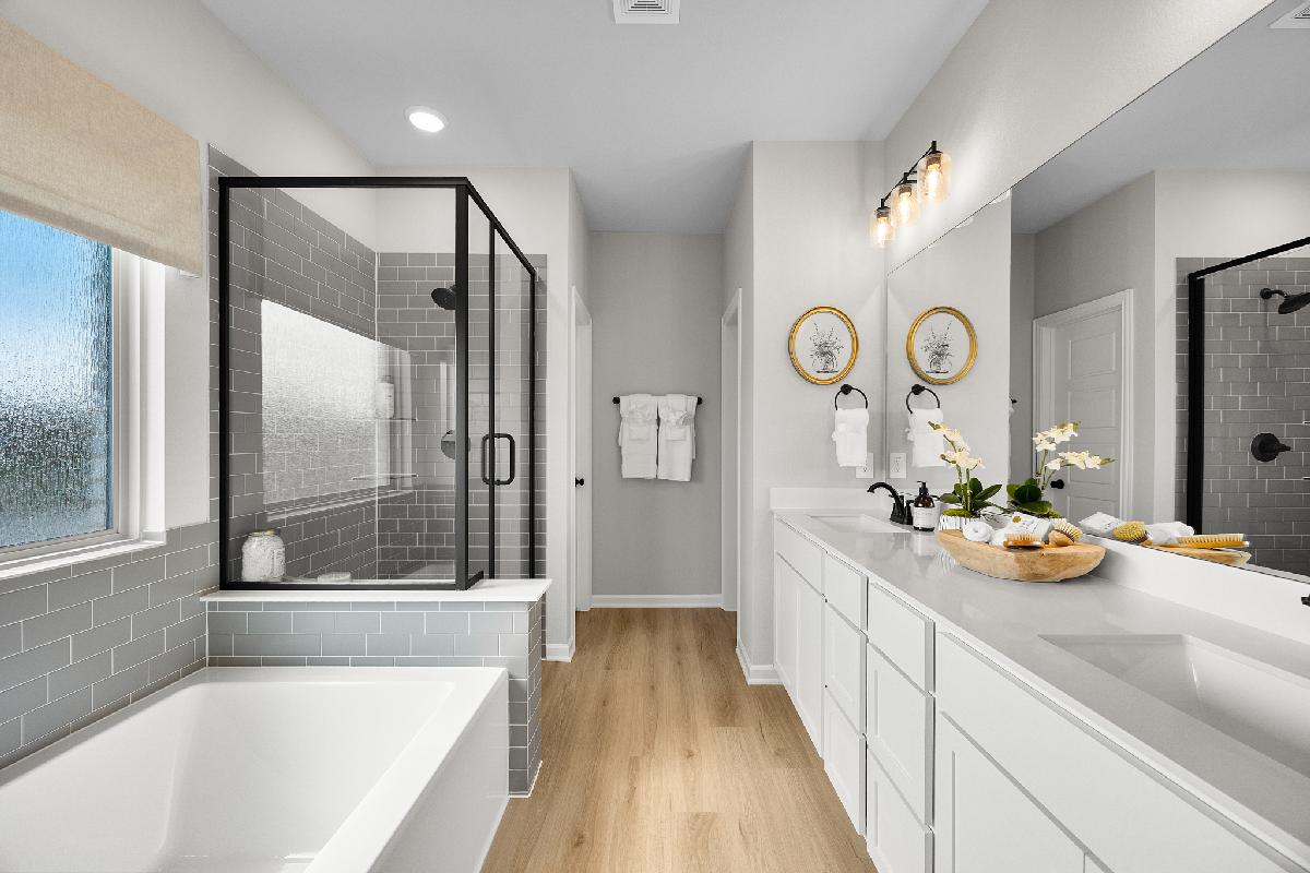 Palmilla Springs 50s Sales Phase 2