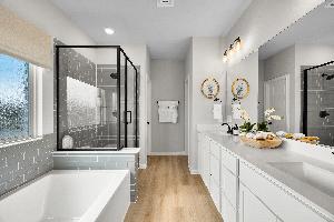 Palmilla Springs 50s Sales Phase 2