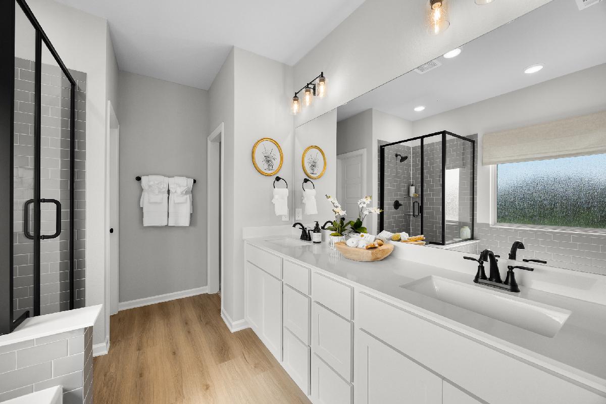 Palmilla Springs 50s Sales Phase 2