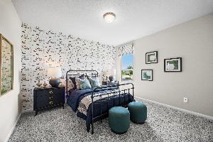 Palmilla Springs 50s Sales Phase 2