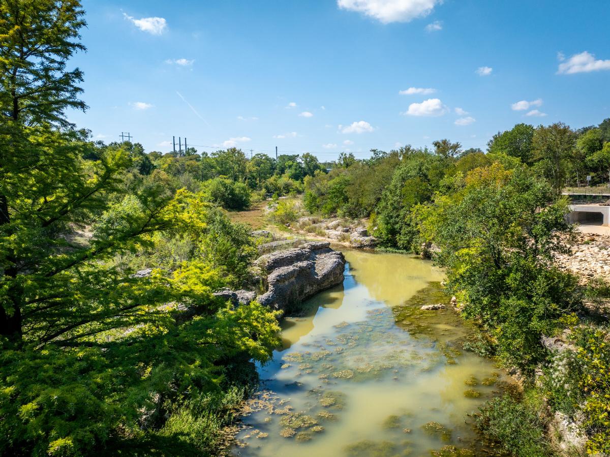 Colony at Cole Springs
