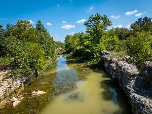 Colony at Cole Springs