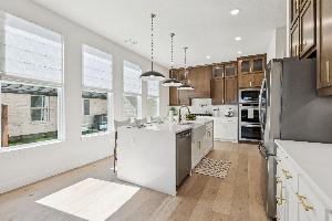 Timberbrook