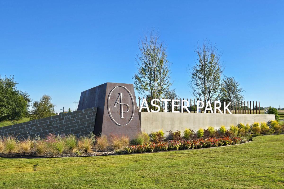 Aster Park