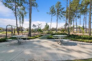 Pinewood at Grand Texas