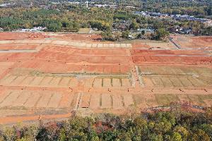 Cambrey Pointe