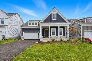 Forest Ridge