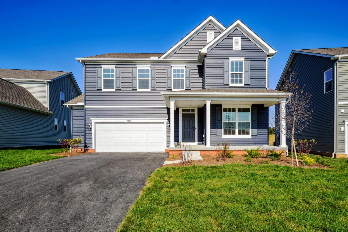 Forest Ridge