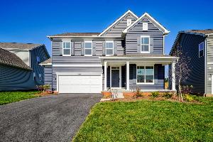 Forest Ridge