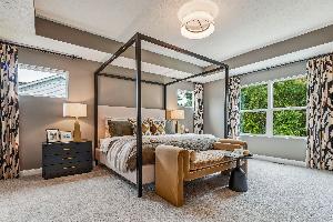 Forest Ridge