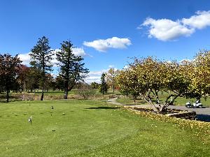 Wesley Park