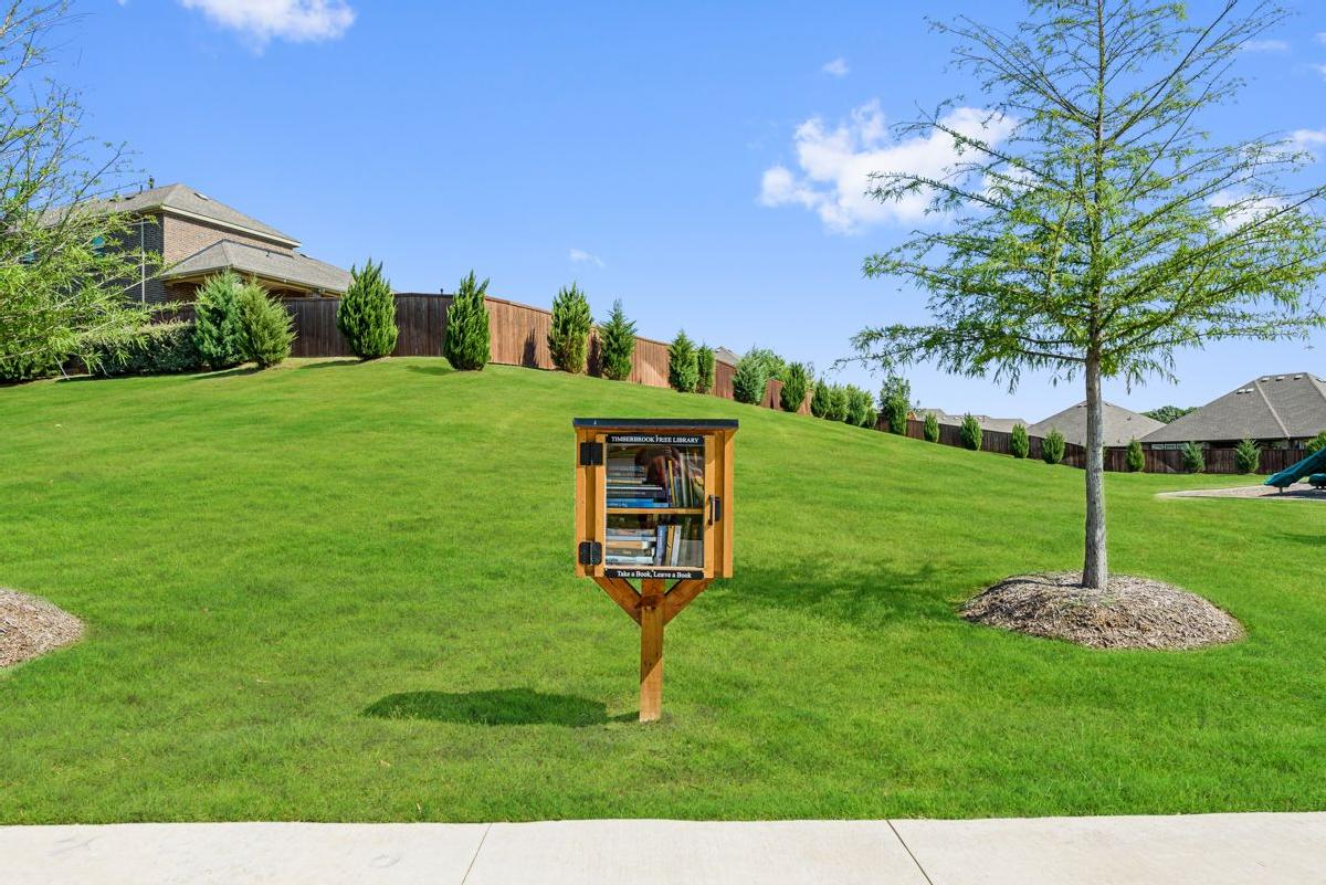 Timberbrook