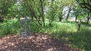 Windsong Ranch