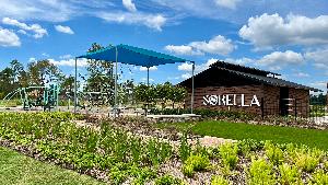 Sorella 40s