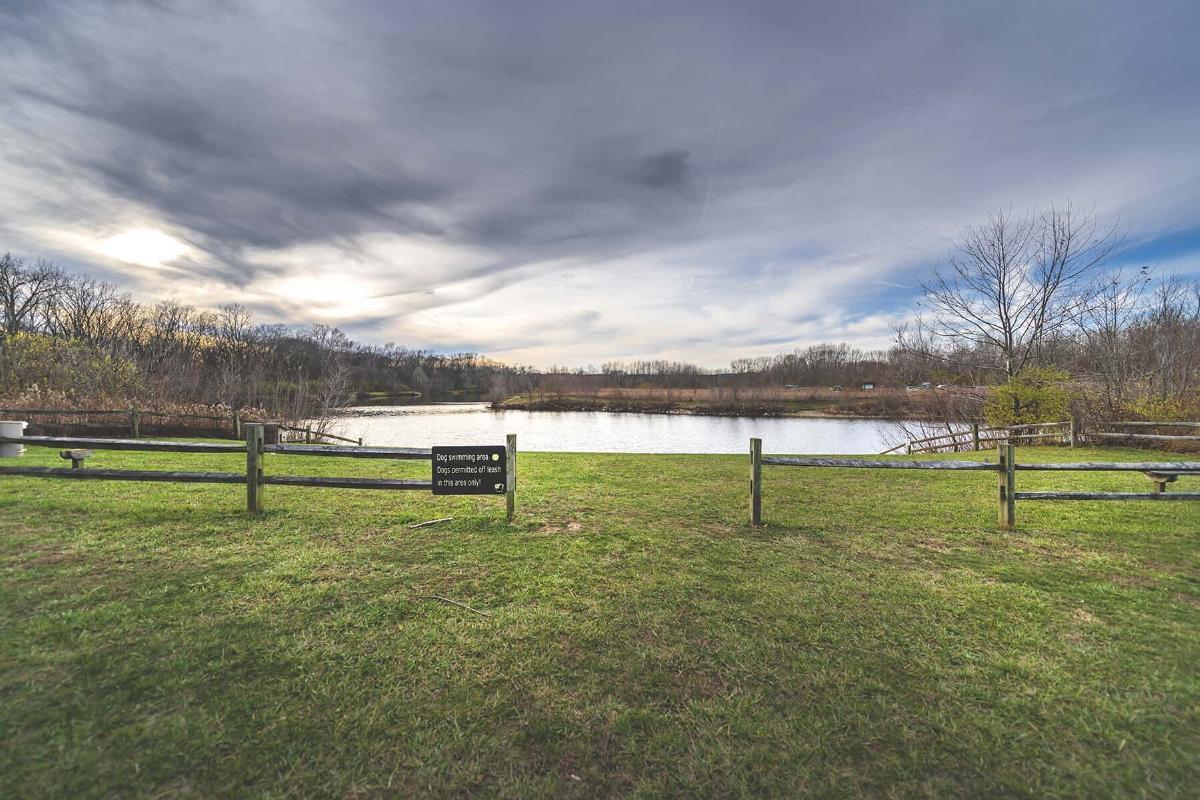 Homes at Foxfire